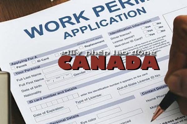 work permit canada, work permit canada là gì, kinh nghiệm xin work permit canada, thời gian xin work permit canada, xin work permit canada, cách xin work permit canada, lmia canada, lmia là gì